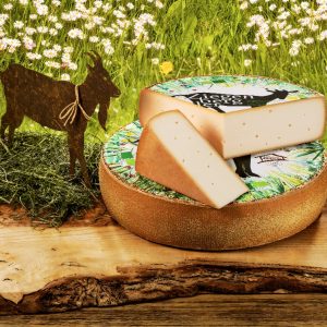 BIO Bergziege
